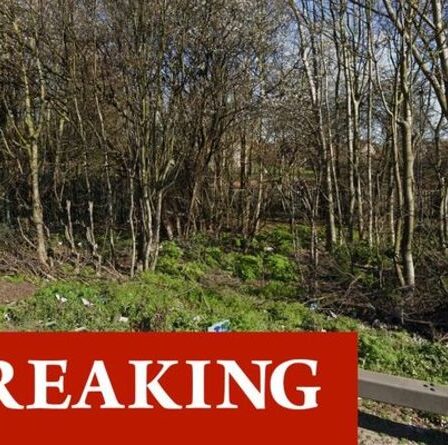 Une enquête pour meurtre lancée alors que le corps d'une femme a été retrouvé dans un parc du sud de Londres - routes fermées