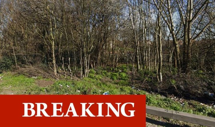 Une enquête pour meurtre lancée alors que le corps d'une femme a été retrouvé dans un parc du sud de Londres - routes fermées