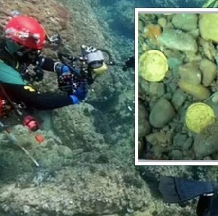 Une percée archéologique alors que des plongeurs découvrent un trésor de pièces d'or romaines parfaitement conservées