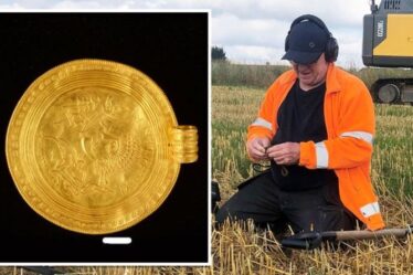 Une percée archéologique alors que l'or pré-Viking a été découvert "en utilisant un détecteur de métaux pour la première fois"
