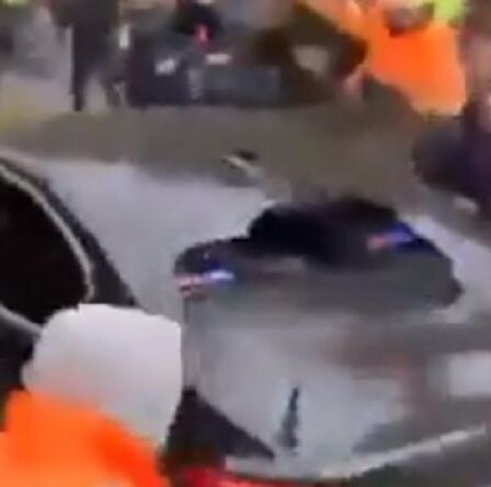 Une violente manifestation contre le vaccin en Australie voit une foule en colère chasser la police – REGARDER