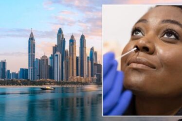 Vacances à Dubaï : quelles sont les dernières règles de voyage aux EAU et les Britanniques peuvent-ils visiter ?  Avertissement FCDO