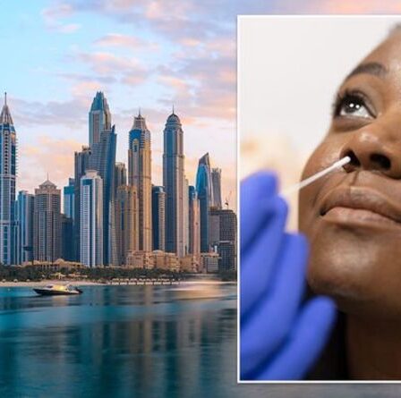 Vacances à Dubaï : quelles sont les dernières règles de voyage aux EAU et les Britanniques peuvent-ils visiter ?  Avertissement FCDO