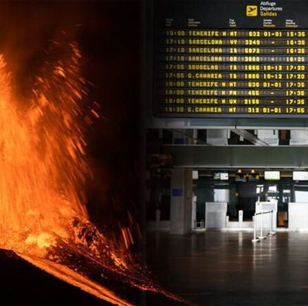 Volcan La Palma : les vacances aux Canaries sont-elles toujours sûres ?  L'île déclarée "zone sinistrée"
