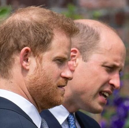 William a averti qu'Harry "ne pouvait pas jouer dans les deux sens" alors qu'il mettait le pied dans la rangée Megxit – réclamation