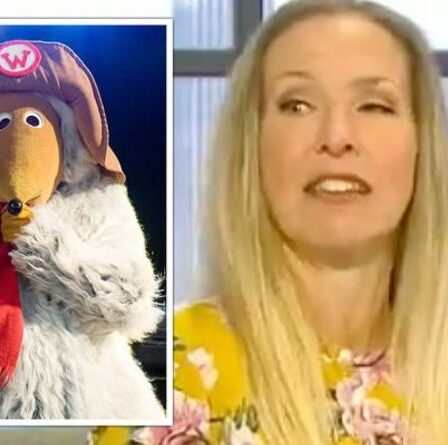 Wombles obtient le feu vert pour contrer "l'activisme climatique déprimant" dans le nouveau programme Johnson