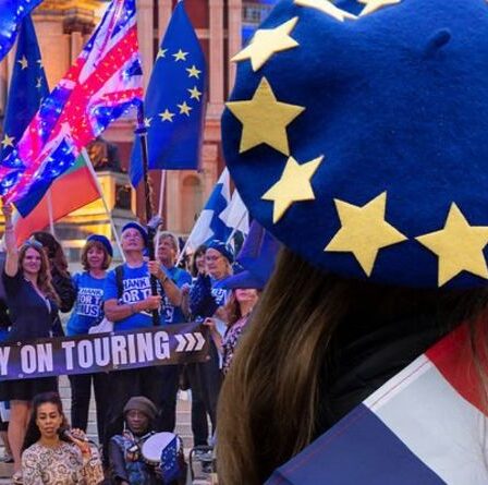 « **** ment Tory ! »  Le reste grossier "attaque" un spectateur pour avoir refusé de porter un béret de l'UE