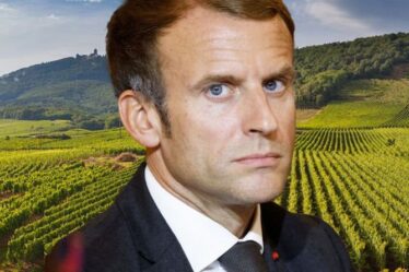 Macron honteux de la politique agricole de l'UE "opportuniste" "C'est le pire du protectionnisme"