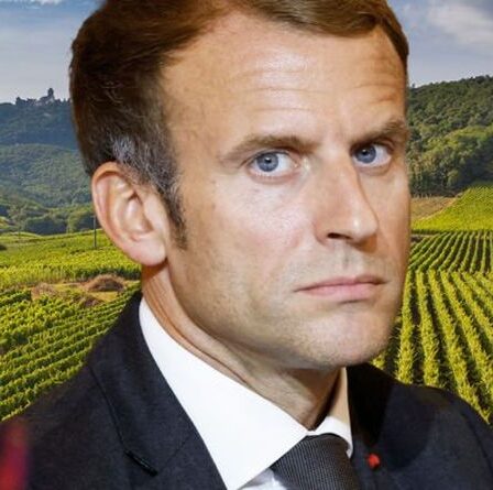 Macron honteux de la politique agricole de l'UE "opportuniste" "C'est le pire du protectionnisme"