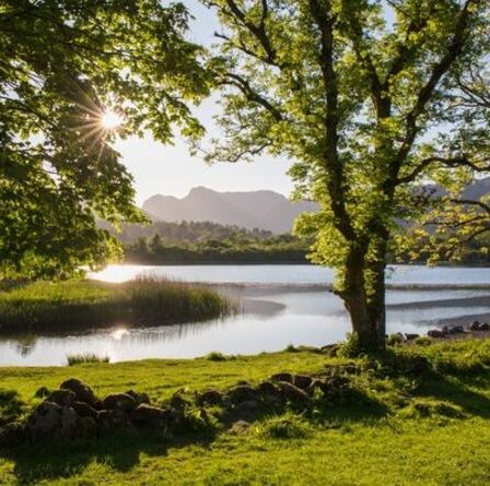 L'Angleterre fait face à une catastrophe environnementale alors que la «crise» de l'eau polluée suscite des craintes d'extinction