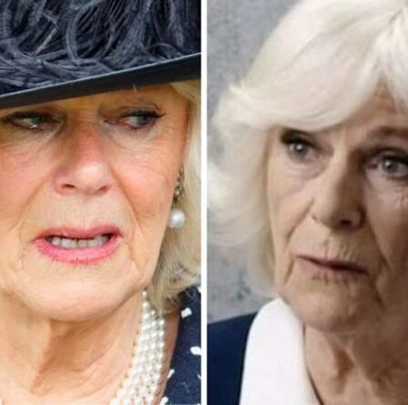 Camilla chagrine alors que «personne ne la voulait sur scène»: «Ça a eu du mal»