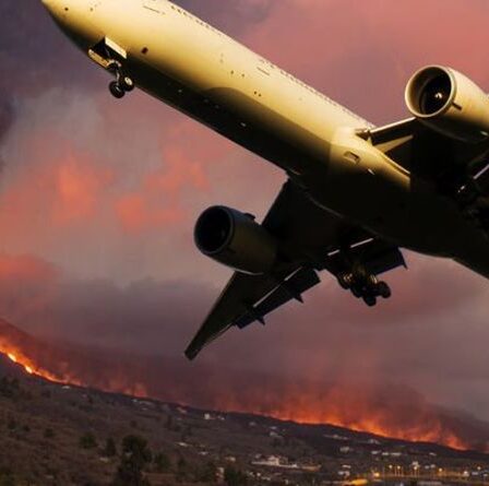 Alerte au volcan de Ténérife: les cendres de La Palma menacent les vols vers le hotspot britannique – avions détournés