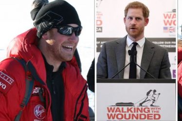 Le prince Harry «a tout changé» pour une œuvre caritative Walking with Wounded