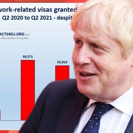 Décollage du Brexit : des travailleurs hautement qualifiés affluent en Grande-Bretagne, selon une nouvelle analyse