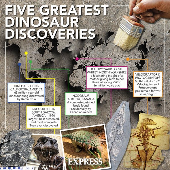 Découvertes de dinosaures : cinq des plus grandes découvertes de dinosaures jamais enregistrées