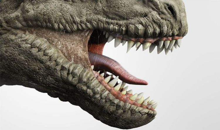 Une percée scientifique après la découverte d'un dinosaure "change complètement la perception" des reptiles