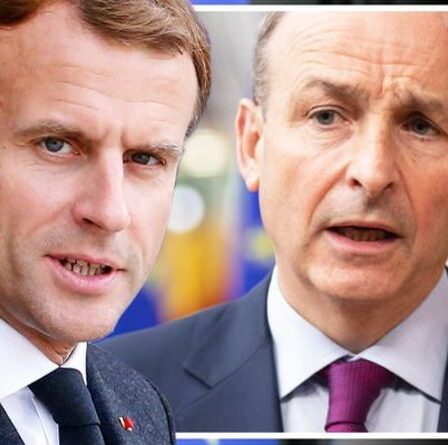 L'Irlande cousue ! Une offre française «arrogante» d'interdire l'anglais pour laisser Dublin isolé dans l'UE