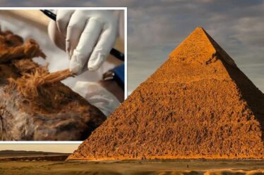 Une percée en Egypte alors que la découverte d'une momie "extraordinaire" pourrait "tourner l'histoire à l'envers"