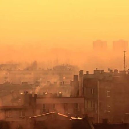 "Honte nationale" des bébés menacés par notre air toxique