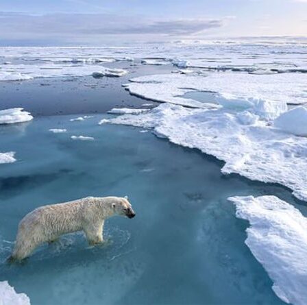 Un regard froid de la photographie sur notre monde en fusion