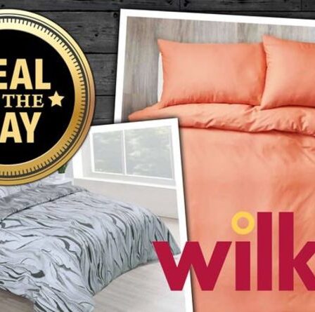 AFFAIRE DU JOUR: Wilko réduit de 30% les ensembles de literie en vente