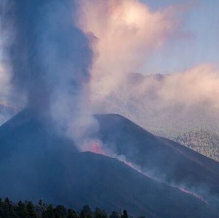 Alerte au tsunami à Ténérife : une éruption volcanique « catastrophique » pourrait « dévaster » les îles Canaries