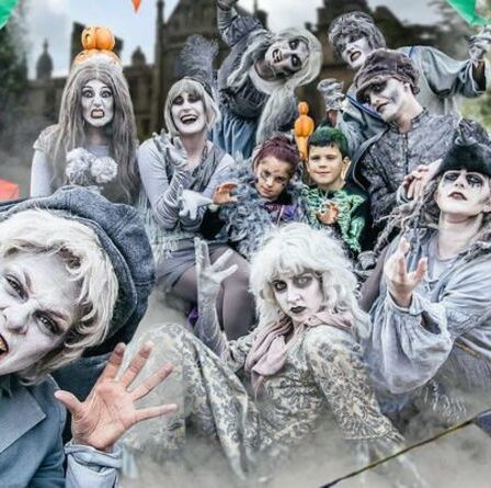 Alton Towers lance Trick o Treat Town Scarefest pour Halloween - comment réserver des billets