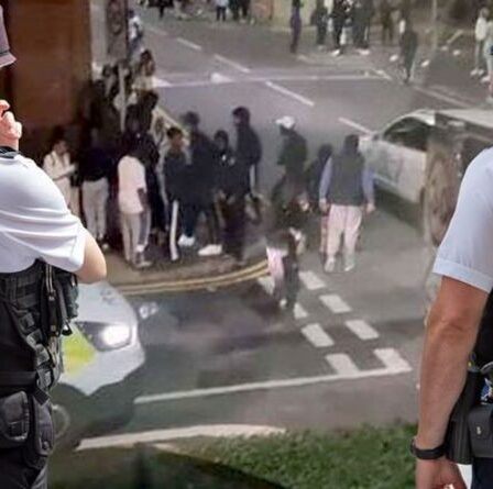 « Apprenez un sacré respect ! »  Répression policière après que des «enfants sauvages ont tiré des feux d'artifice sur des officiers»