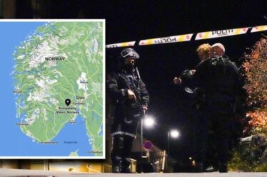 Attaque en Norvège : les meurtres à l'arc et à la flèche étaient-ils liés au terrorisme ?  Kongsberg cartographié