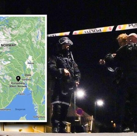 Attaque en Norvège : les meurtres à l'arc et à la flèche étaient-ils liés au terrorisme ?  Kongsberg cartographié