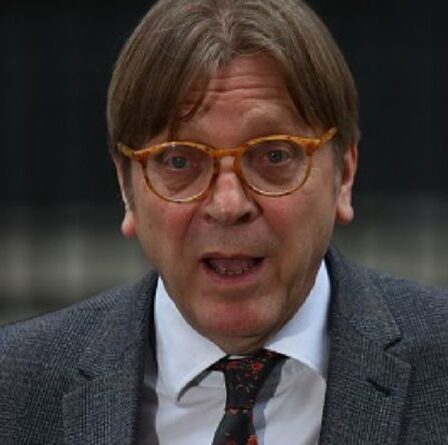 « Attendez qu'ils commencent à jouer au Royaume-Uni isolé ! »  Guy Verhofstadt dans l'attaque amère du Brexit