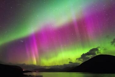 Aurores boréales ce soir : spectacle incroyable pour illuminer le ciel - COMMENT voir les aurores boréales