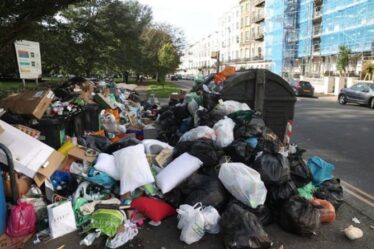 Bin frappe le chaos !  Montagne de rues infestées de déchets de rats alors que les travailleurs refusent de nettoyer