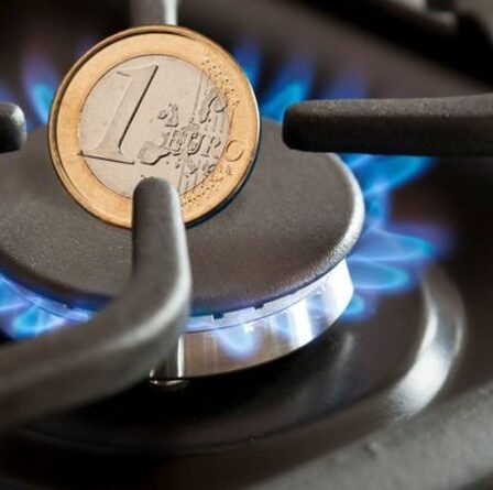 "Blesser les citoyens" Les pays de l'UE touchés par une flambée "choc" des prix du gaz - Bruxelles agit