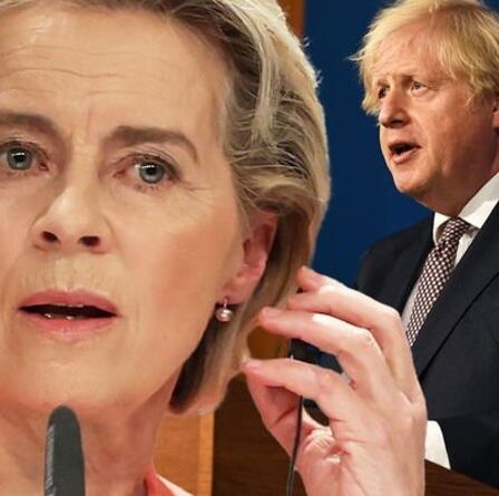 Boris fait face à une confrontation avec la Haute Cour à propos d'un accord détesté avec l'UE – la bataille du Brexit se profile