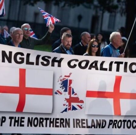 Brexit : comment l'UE pourrait réagir à la proposition britannique d'Irlande du Nord