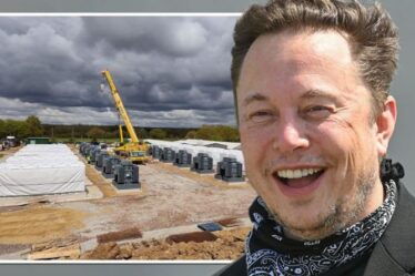 Brexit victoire de la Grande-Bretagne !  Elon Musk lance un nouveau projet Tesla au Royaume-Uni : « Une étape importante pour la croissance »