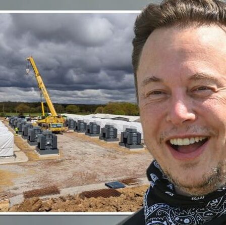 Brexit victoire de la Grande-Bretagne !  Elon Musk lance un nouveau projet Tesla au Royaume-Uni : « Une étape importante pour la croissance »