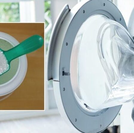 « Brillant et bon marché » : les fans de Mme Hinch partagent la « meilleure » méthode pour nettoyer en profondeur les machines à laver