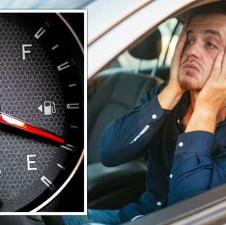 " Brûler plus vite ": les conducteurs se plaignent du carburant E10 car certains disent que leur voiture " boit de l'essence "