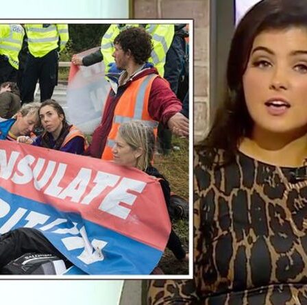 « C'est une agression ordinaire ! »  Les conducteurs qui retirent Insulate Britain des routes risquent d'être arrêtés