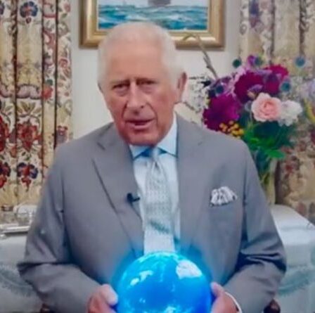 Charles partage sa profonde inquiétude pour George alors que «les incendies, les sécheresses et les inondations» ravagent le monde