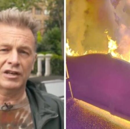 Chris Packham explique comment l'incendie criminel a frappé sa belle-fille Megan: "Elle est stoïque"