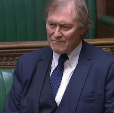 Comment David Amess a supplié Boris d'aider à mettre fin aux coups de couteau "insensés" dans un discours émotionnel