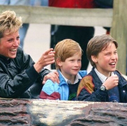 Comment la princesse Diana a inspiré le travail caritatif du prince William dès son plus jeune âge