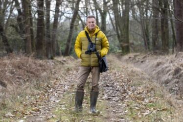 Concours : Gagnez votre propre promenade guidée dans la nature avec Chris Packham de la BBC