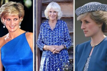 « Couleur de la confiance » : Camilla et Diana plus « puissantes » en bleu