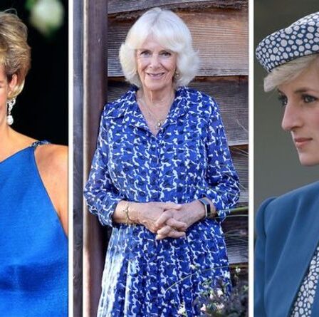 « Couleur de la confiance » : Camilla et Diana plus « puissantes » en bleu