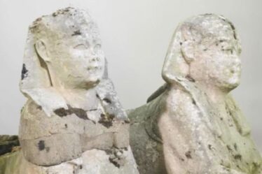 Des ornements de jardin d'une valeur de 300 £ s'avèrent être d'anciens sphinx égyptiens d'une valeur de 200 000 £