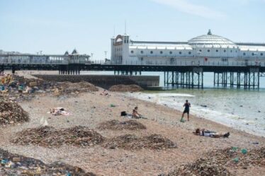 Des photos dévastatrices montrent un avenir sombre pour les côtes britanniques - si les Britanniques continuent de jeter des déchets